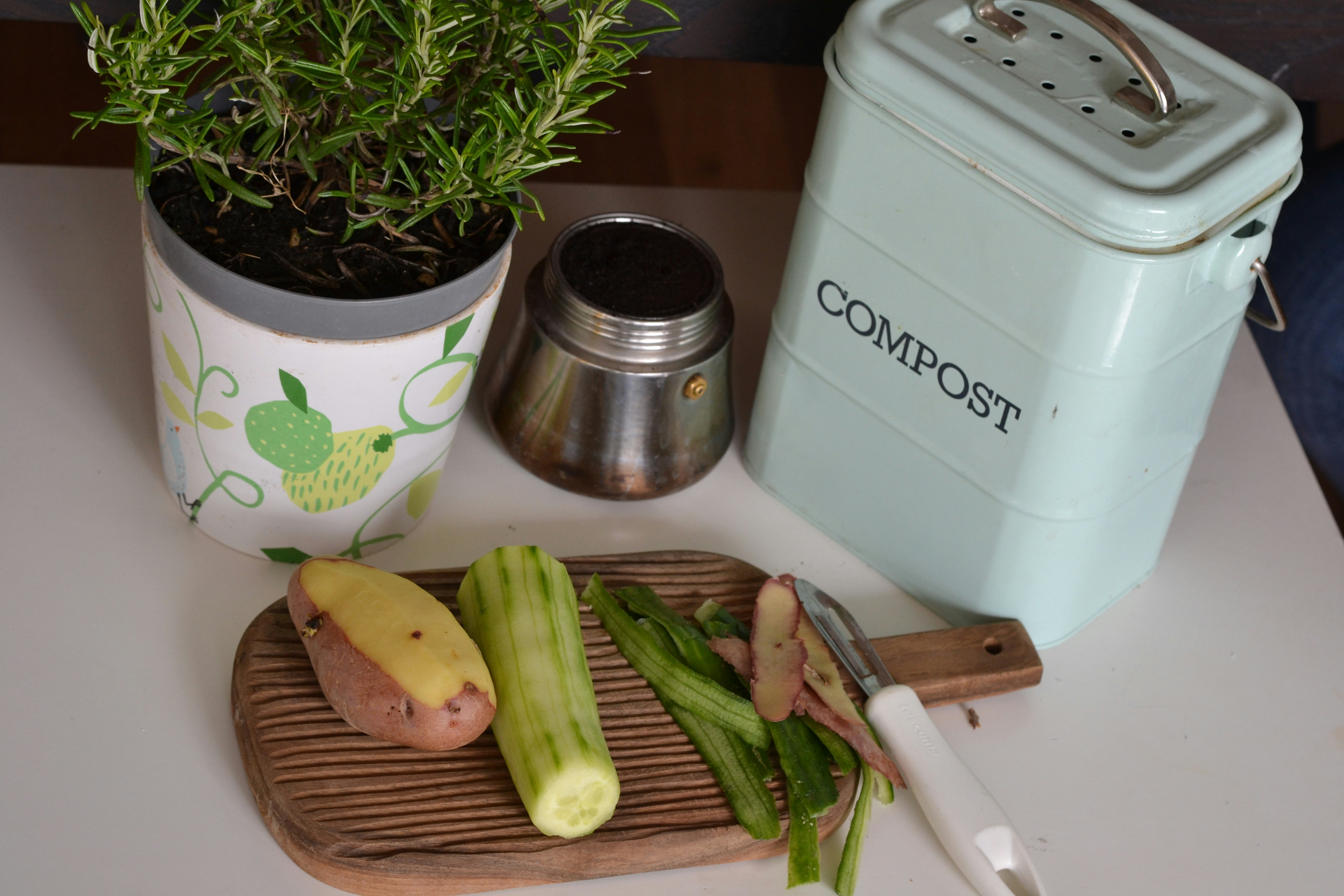 Sustainable Living in Small Spaces: Practical Tips for an Eco-Friendly Lifestyle
